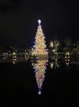 IMG_7580.jpeg
