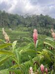IMG_1427.jpeg