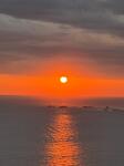 IMG_4442.jpeg