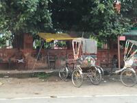 IMG_8074.jpeg