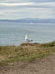 IMG_9134.jpeg
