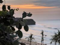IMG_4989.jpeg