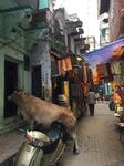 IMG_8280.jpeg