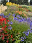 IMG_8946.jpeg
