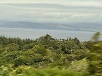 IMG_8191.jpeg