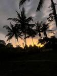 IMG_6125.jpeg