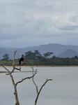 IMG_4909.jpeg