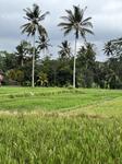 IMG_5944.jpeg