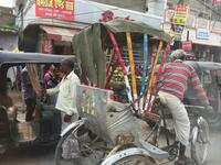 IMG_8177.jpeg