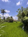 IMG_5882.jpeg