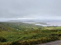 IMG_8263.jpeg
