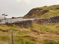 IMG_8250.jpeg