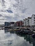 IMG_4664.jpeg