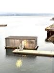 IMG_4280.jpeg