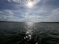IMG_8142.jpeg