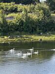 IMG_8019.jpeg