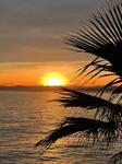 IMG_7387.jpeg