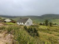 IMG_8243.jpeg