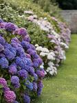 IMG_8938.jpeg