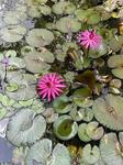 IMG_5864.jpeg
