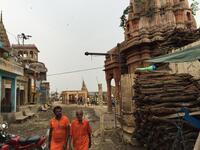 IMG_8287.jpeg