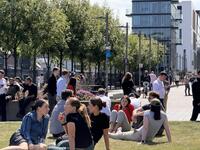 IMG_8725.jpeg