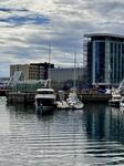 IMG_4675.jpeg