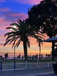 IMG_7400.jpeg