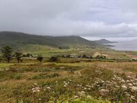 IMG_8244.jpeg