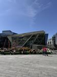IMG_8681.jpeg