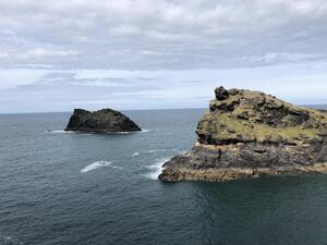 6C056DC2-0888-4152-B008-C22E71FF0A24.jpeg