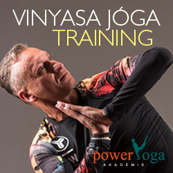 Vinyasa jóga trénink 2016